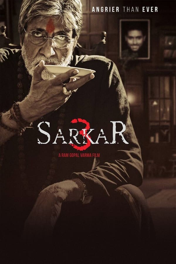 Sinopsis Lengkap Film Sarkar 3 (2017) Sarkar 3 (2017)_poster